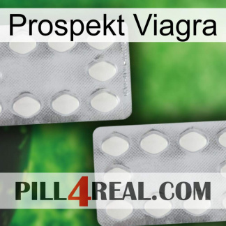 Prospecto Viagra 17